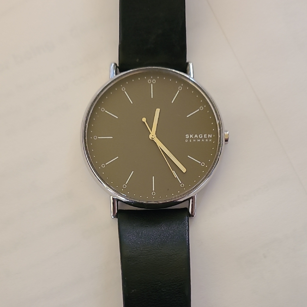 Skagen Olive Dial Watch with Dark Green Leather Strap